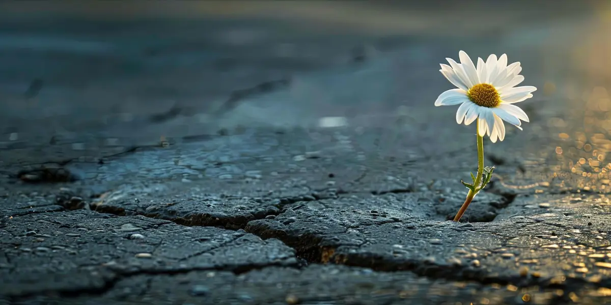 vierou spasená Rachab